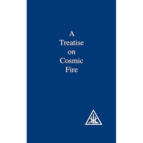 Amazon.com: The Externalisation of the Hierarchy: 9780853301066