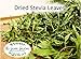 100% Dried Pure Stevia Leaves Herbal Tea, Natural Sweetener Diet 0.64 Oz. (20 g.) All Natural Ingredients, Nontoxic, Safe And Healthy in Zipper Packaging and Get Free a Wooden Spoon