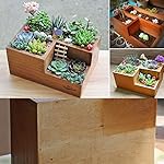 Easydeal Wooden Garden Window Box Trough Planter Succulent Flower Bed Pot (Three gird)