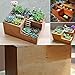 Easydeal Wooden Garden Window Box Trough Planter Succulent Flower Bed Pot (Three gird)