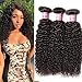 Dinoce Compatible with Longqi Beauty 10A Peruvian Curly Hair 3 Bundles, Remy Human Virgin Jerry Curly Hair Weave 3pcs Set 300g Natural Color (14 16 18 Inches)