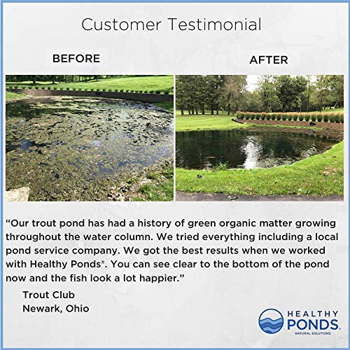 Healthy Ponds 52400 All Purpose Pond & Water Cleaner 2,500 Reloadable