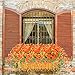 TEMCHY Artificial Daffodils Fake Large Flowers, 4 Bundles Orange UV Resistant Faux Greenery Foliage Plants Shrubs for Garden, Wedding, Outside Hanging Planter, Farmhouse Indoor Outdoor Decor