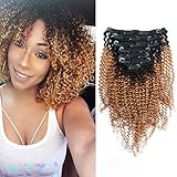 Sassina Real Remy Clip In Human Hair Extensions Kinky Curly Ombre Color Natural Black Fading to Strawberry Blonde For Black Women 120 Grams 7 Pieces Per Bundle with 17 Clips KC TN27 18 Inch
