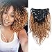 Sassina Seamless Double Wefts Kinky Curly Clip In Human Hair Extensions Ombre Two Tone Natural Black Fading to Strawberry Blonde 120 Grams 7pcs per lot with 17 Clips KC TN27 16 Inch