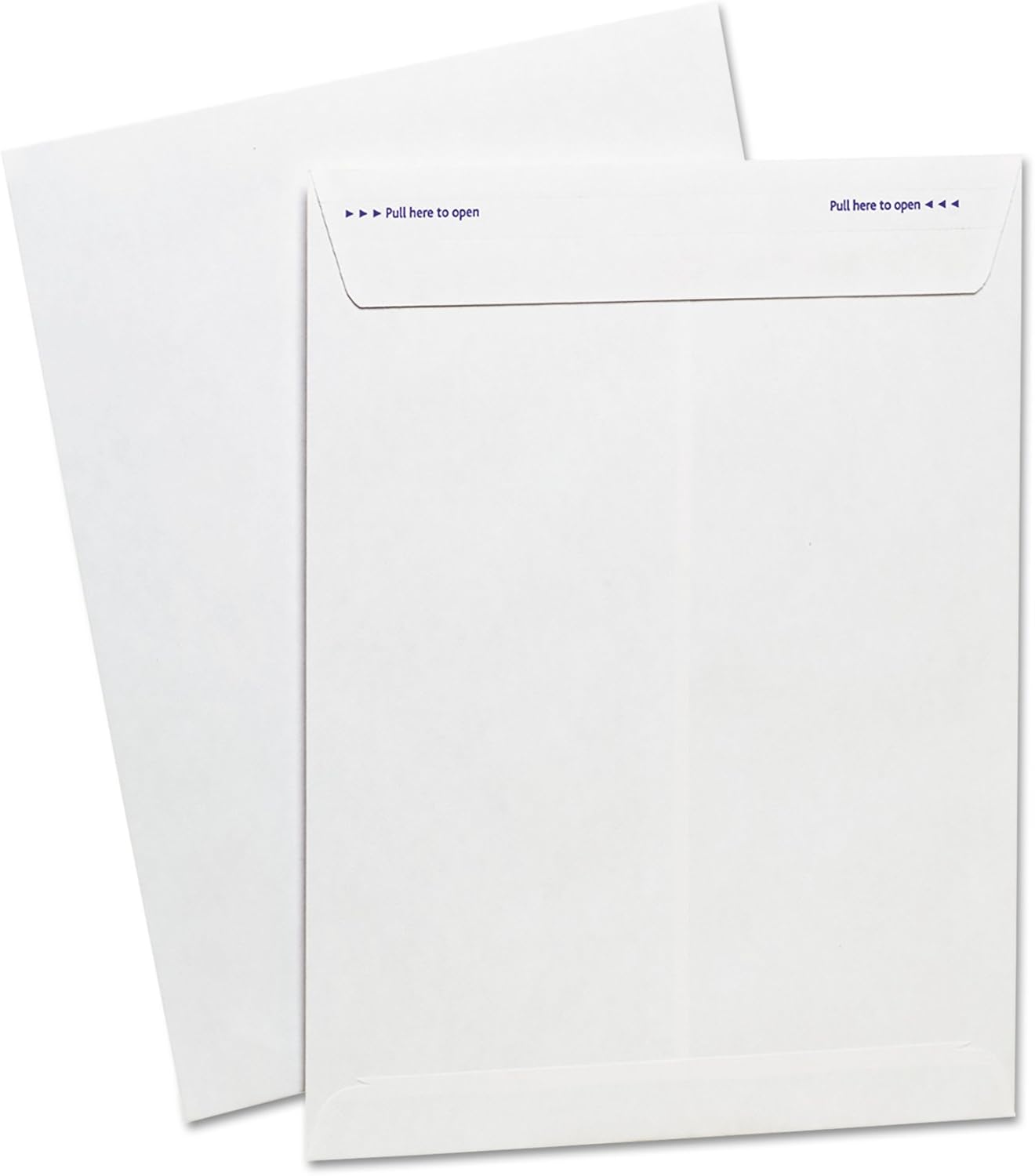 Ampad Fastrip Security Catalog Envelope, 9 Inch x 12 Inch, Peel & Seal Adhesive, Security Tint, Tear-Away Quick-Open Strip, White, 100 Per Box (73127) : Office Products