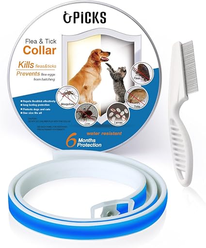 Collier Antipuces Pour Chien 6 Mois Anti Puces Et Tiques Protection De Contrôle Pour Chiens Chats Taille Réglable Et étanche Arrêter Pest Piqûres