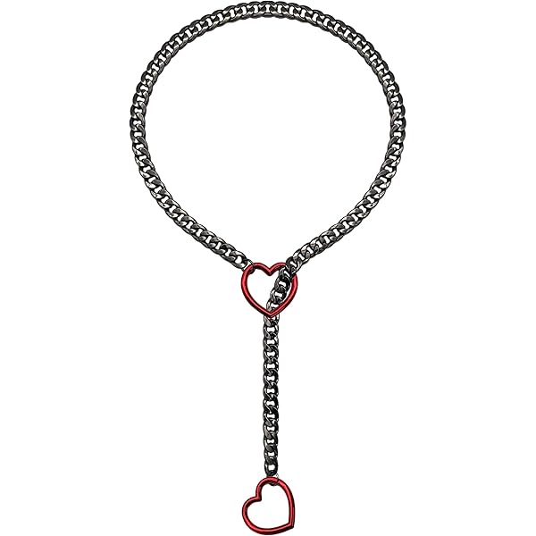 Amazon.com: ADEMISHIA Handmade Heart O-ring Slip Chain
