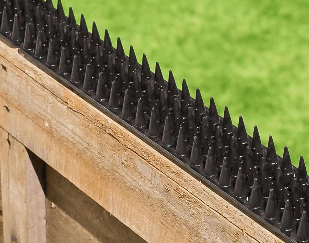 Primrose Fence Spikes - Cat Garden Wall Security Anti Climb Detterent Spike Strips - Black - Pack of 10
