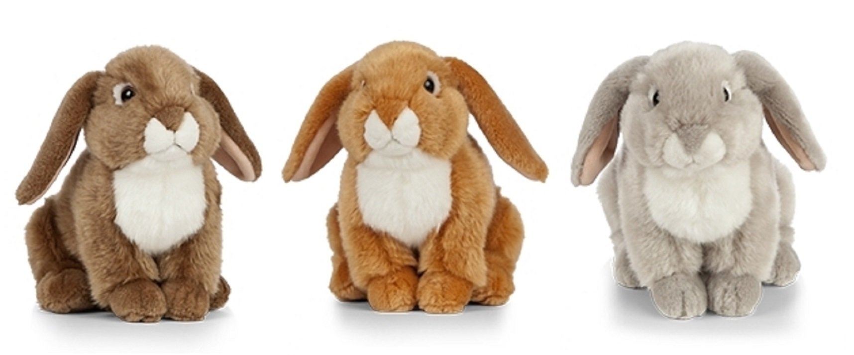 living nature rabbit