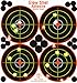 25 and 75 Pack - 4 Bullseye - Reactive Splatter Targets - Tagboard and Adhesive Versions- GlowShot - Multi Color - Gun and Rifle Targets (Adhesive Multi-Color 75 Pack)