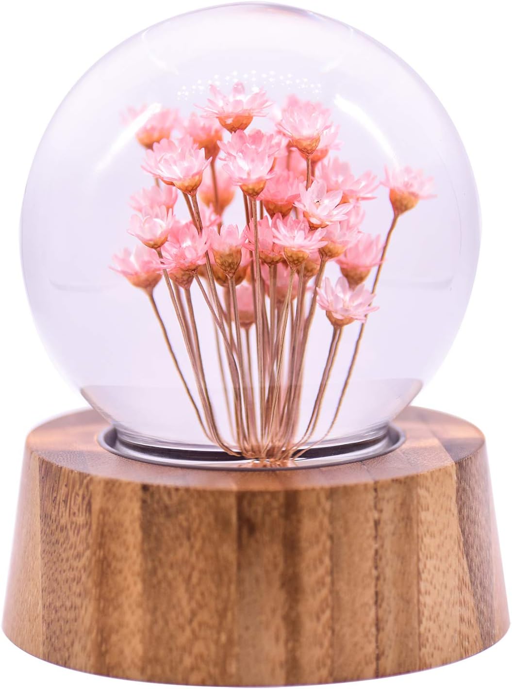 Real Specimens Glass Crystal ball with Wood Base, Everlasting Flower Desktop Ornaments Gift for Christmas/Birthday/Valentine's Day (Red Daisy)