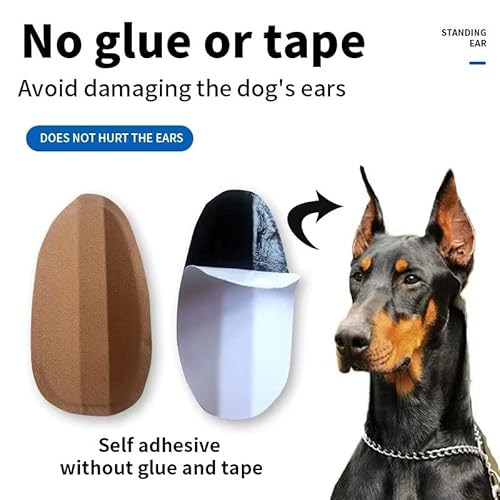 Ear Cropping Doberman Ear Supports THOUDONER Dog Ear Stand Sticker