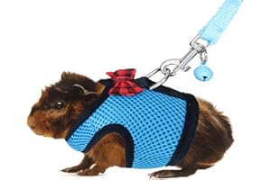 Rypet Guinea Pig Harness and Leash - Soft Mesh Small Animal Harness with Safe Bell, No Pull Comfort Padded Vest for Guinea Pigs, Ferret, Chinchilla and Similar Small Animals