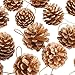 Yarssir 27-Pieces Gold Tipped Real Natural Dried Pine Cones Hand Painted Premium Quality, 1.5-1.9 inch,Christmas Decorations, Centerpieces, Bowl Filler,Displays Crafting Holiday Decor (4-5cm, Gold)