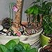 Mood Lab Fairy Garden - Figurines and Accessories Set - Hand Painted Miniature Gazebo Kit for Outdoor or House Decor