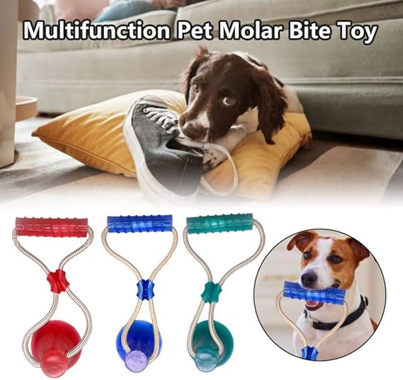 dog chew toy stuck to floor