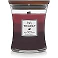 WoodWick Medium Hourglass Candle, Sun Ripened Burrs - Premium Soy Blend Wax, Pluswick Innovation Wood Wick, Made in USA
