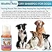 Mindful Pets Dry Dog Shampoo - Waterless Foam Mousse - Best Natural No Rinse Shampoo - Made in USA, 8oz