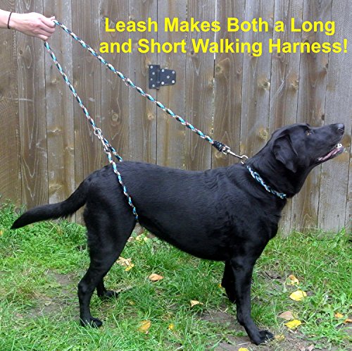 leashes by liz