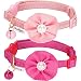 Blueberry Pet Pack of 2 Cat Collars, The Beloved Fancy Metallic Thread Adjustable Breakaway Cat Collar with Bell and Flower Deco, Baby Pink & Shocking Pink, Neck 9"-13" primary