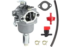 ZAMDOE 796109 594593 Carburetor for Briggs & Stratton 591731 590400 796078 498811 794161 795477 14.5HP - 21HP Engine Craftsma