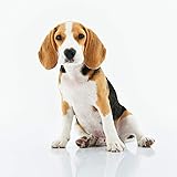 Wi-Fi Router Reset, Smart Plug Auto Monitor and Restart Wi-Fi Router/Modem/Access Points if Wi-Fi Fails, Auto Power Cycler fo