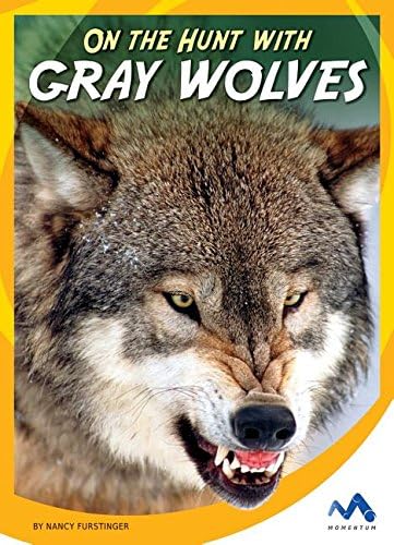 On the Hunt With Gray Wolves (On the Hunt With Animal Predators) Library Binding – January 1, 2016