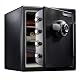 SentrySafe SFW123FUL 1.2-Cubic Feet Electronic Fire-Resistant Big Bolt Safe Review
