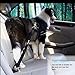 WINSEE Dog Seat Belt, 3 in 1 Multifunctional Pet Safety Belt Bungee Dog Car Harness with 2 Hook Latch & 1 Seatbelt Buckle, Swivel Aluminum Carabiner,Retractable Vehicle Harness