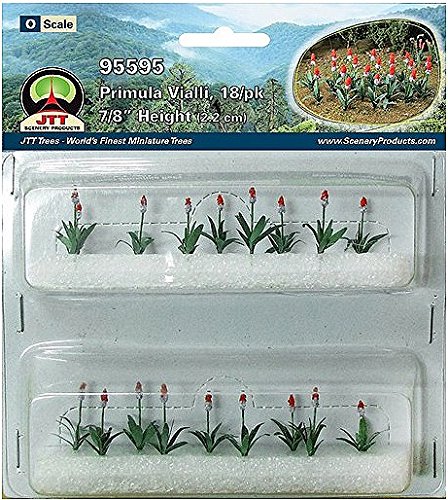 Primula Vialli, O-scale. 18pk
