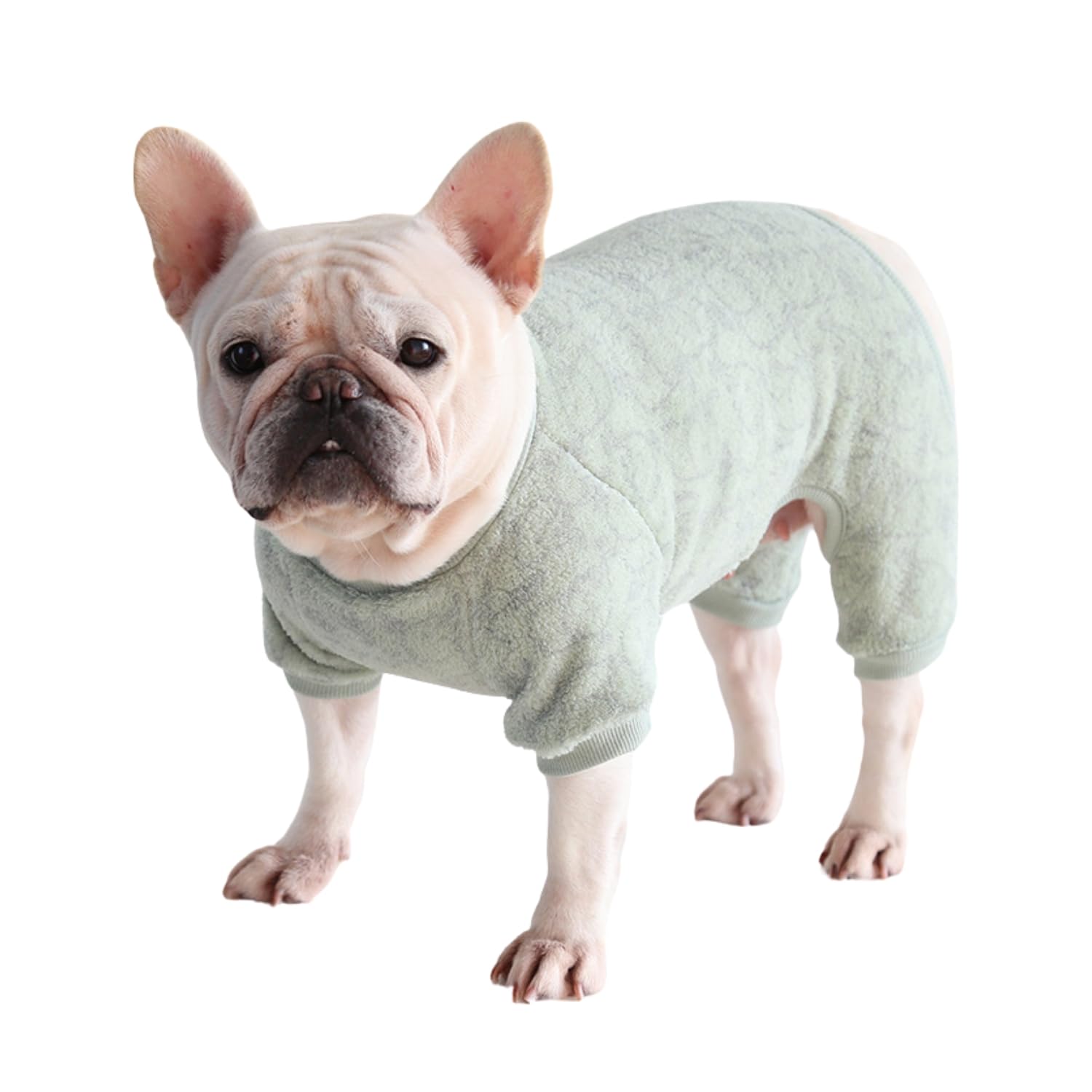 BT Bear Dog Pajamas Soft Warm Fleece Jumpsuit Cute Pet Clothes Onesies Costume for Puppy Small Dogs (Light Green,S)