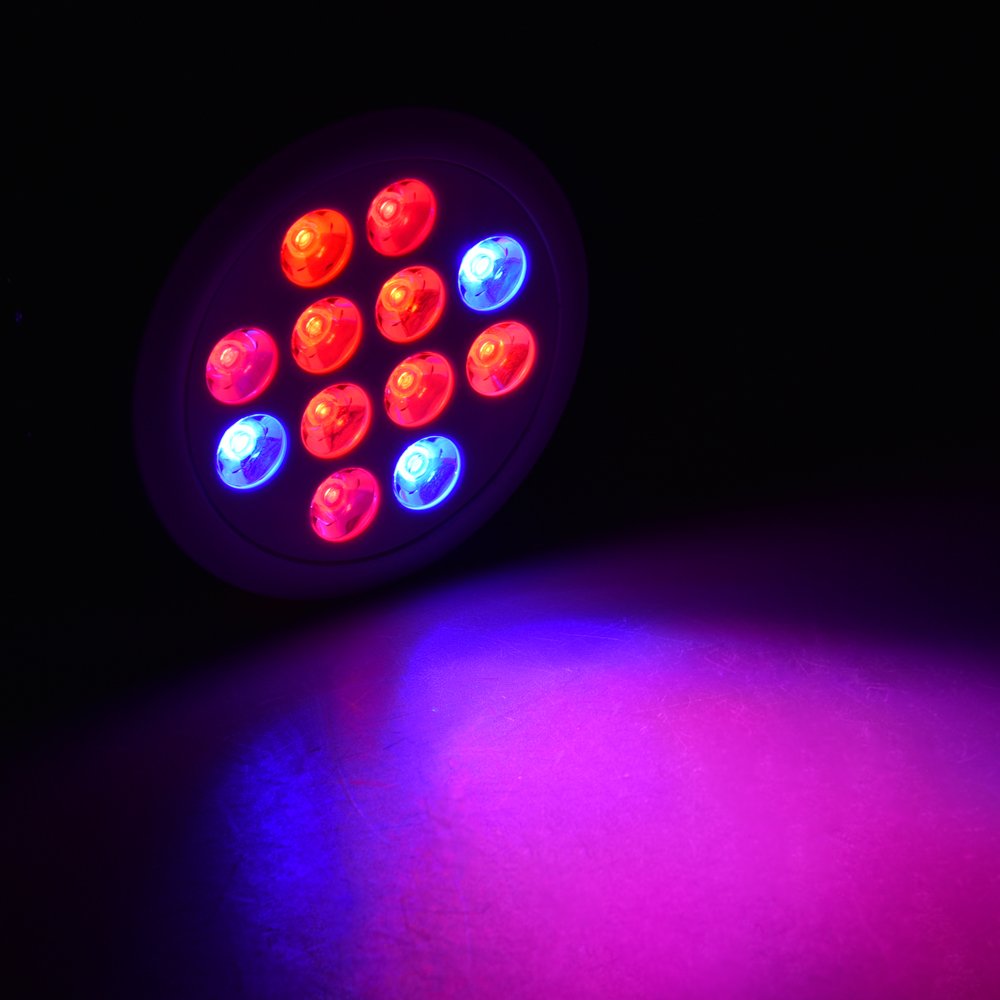 Led Grow Lights Bulb, Grow Lights for Indoor Plants, Grow Lamp for Hydroponics Greenhouse Organic, Plant Lights (E26 24w) …