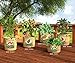 PANACEA PRODUCTS 84386  Grow Bag tomatoes , 20 gallonthumb 3
