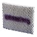 Sunbeam Universal Humidifier Replacement Filters with Triple Layer Projection (2 Filters), SFU001