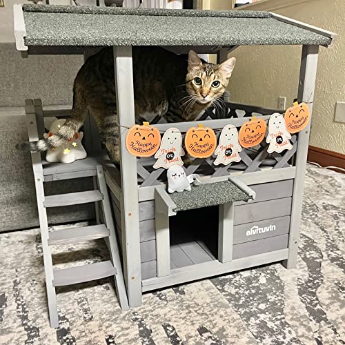 Aivituvin Feral Cat House Outdoor Indoor Kitty Houses with Escape Door