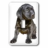 3dRose lsp_264457_1 Adorable and Cute Black
