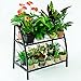 C-Hopetree Indoor or Outdoor Plant Stand, 2 Shelf Pot Rack with Black Metal Frame and Shelves
