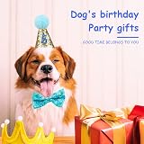 Fantasyon Dog Birthday Hat with Bow Tie Blue Number Reusable Party Accessory view 5