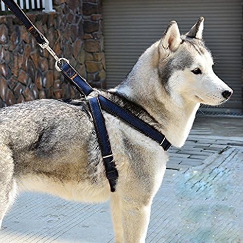 Dog Leash Harness Adjustable Durable Leash Set Heavy Duty Denim Pet Leash Collar for Dogs of All Sizes Perfect for Daily Training Walking Running (Middle, Black)