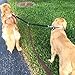 IDEAPRO Dog Leash Coupler, No Tangle Double Leashes, Walk and Control 2 Dogs  (up to 66 lbs dogs), 1