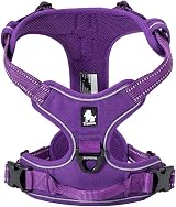 Truelove TLH5651 No-pull Dog Harness Reflective Stitching Purple Large