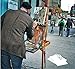 Daveliou Stretched Canvas 16x20 - Canvas Art Supplies 5-Piece Pack - Triple Primed Art Canvas …