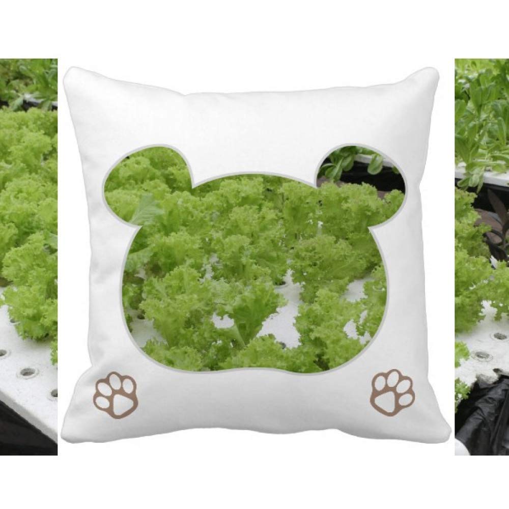 The 5 Best Waterless Cooling Pillow