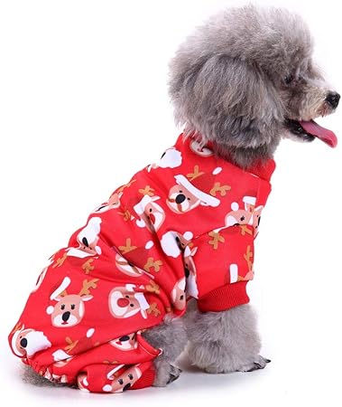 pet clothes store