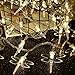 String Lights Night Light Waterproof Dragonfly Lights String Plug in Powered Female Plug (MAX 10) String LED Lights Decorations Wedding Party Christmas (Warm White, 32Feet 100Led)