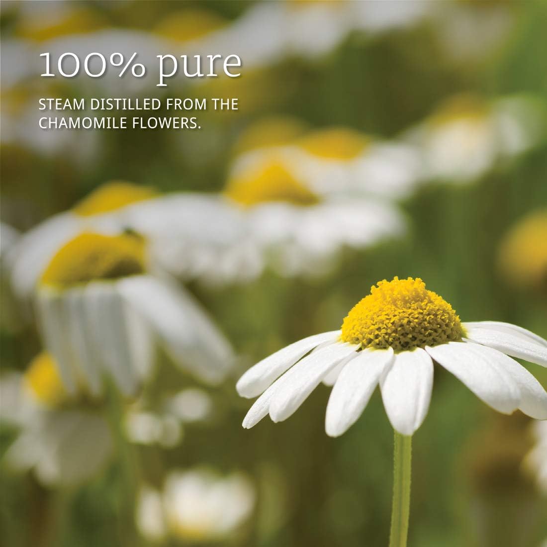 NOW Essential Oils, Chamomile Oil, Delightful Aromatherapy Scent, Steam Distilled, 100% Pure, Vegan, Child Resistant Cap, 1-Ounce: Health & Personal Care