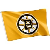 Desert Cactus Boston Bruins Flag NHL 100% Polyester Indoor Outdoor 3x5 feet National Hockey League Team Flags (Design #2)