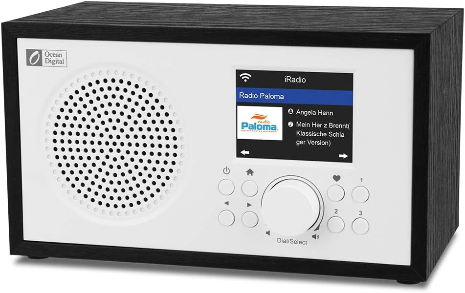 Ocean Digital WiFi radios WR100F FM Digital Radio with Bluetooth Speaker & Sleep Radio