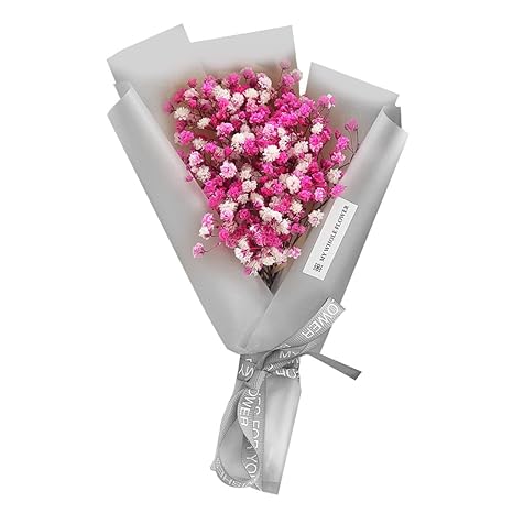 Magideal Bouquet De Fleurs Séchées éternelles De Bébé